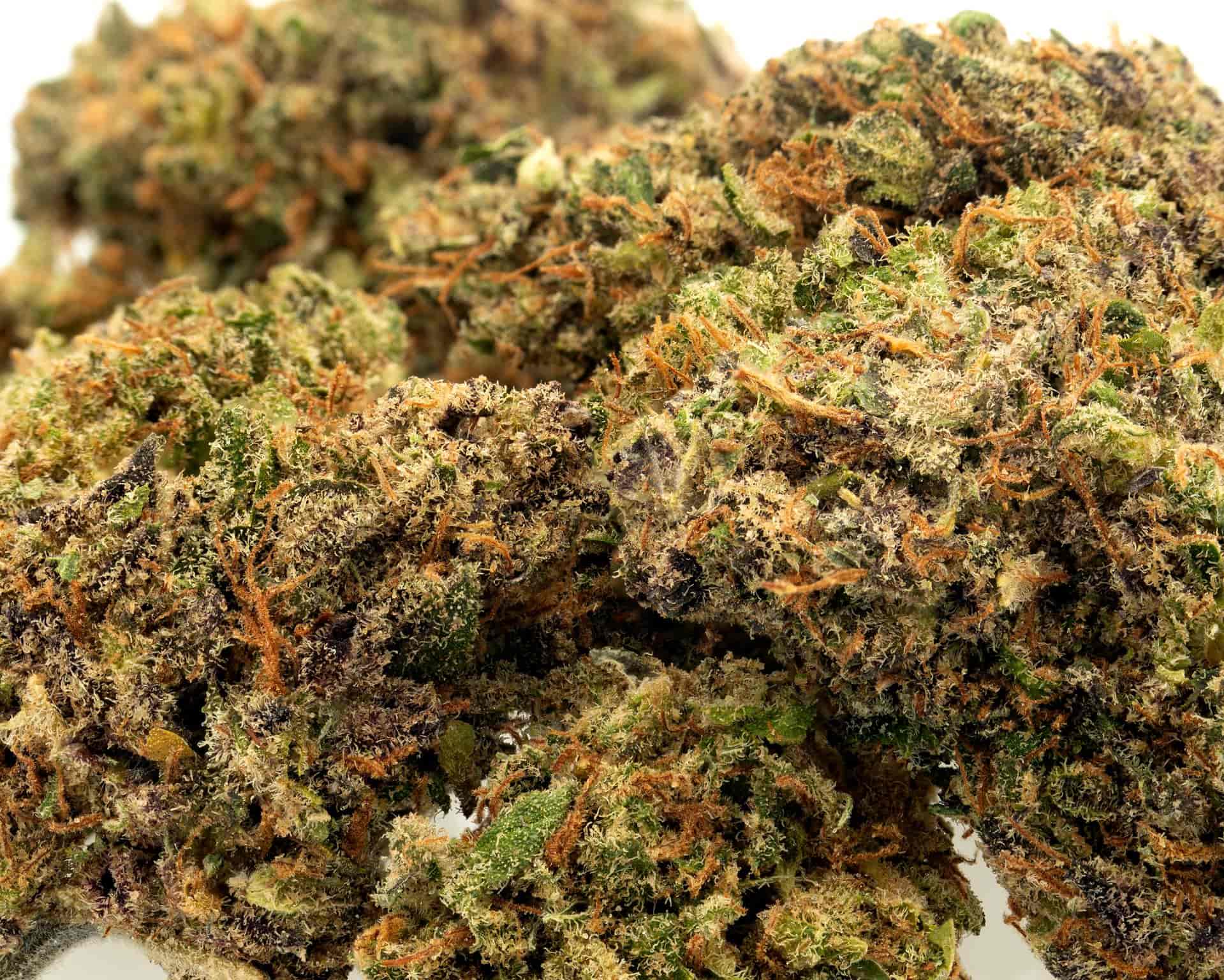 pineapple-express-min